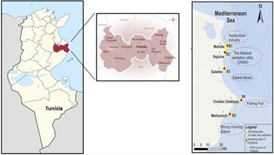 Plasticizers as Microplastics Tracers in Tunisian Marine Environment